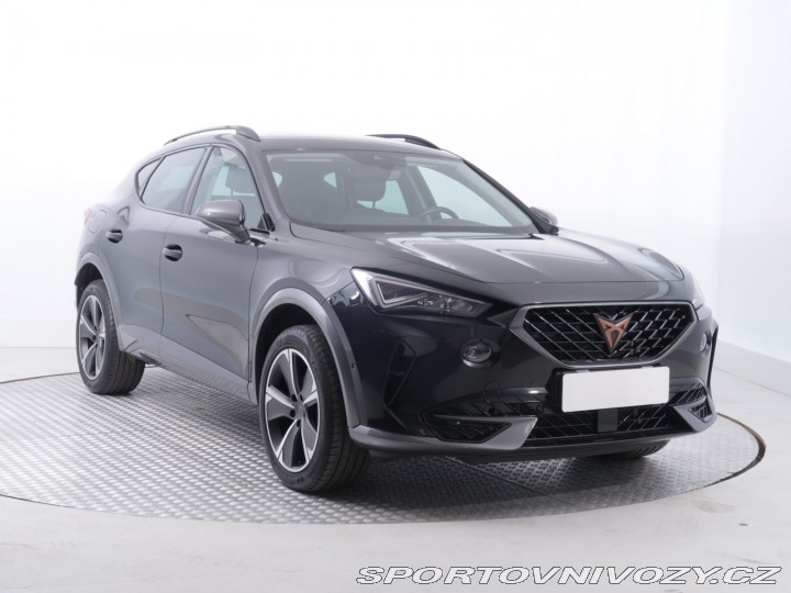 Cupra Formentor 2.0 TSI 4Drive 2024