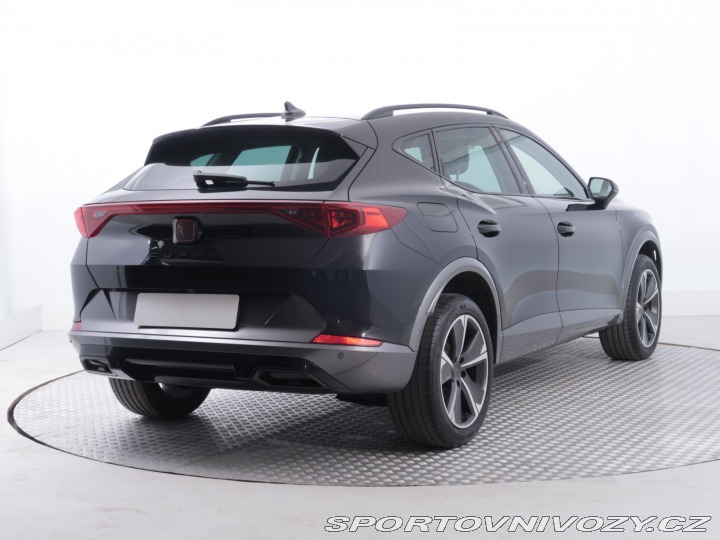 Cupra Formentor 2.0 TSI 4Drive 2024