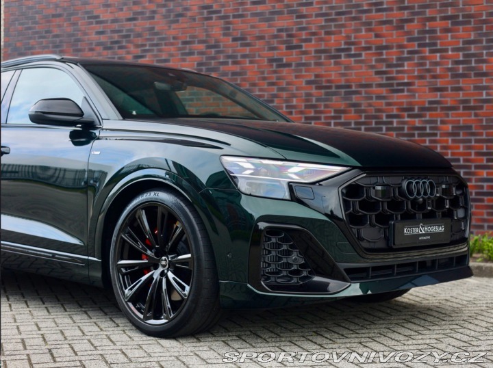 Audi Ostatní modely Q8 60 TFSIe Quattro Competi 2026