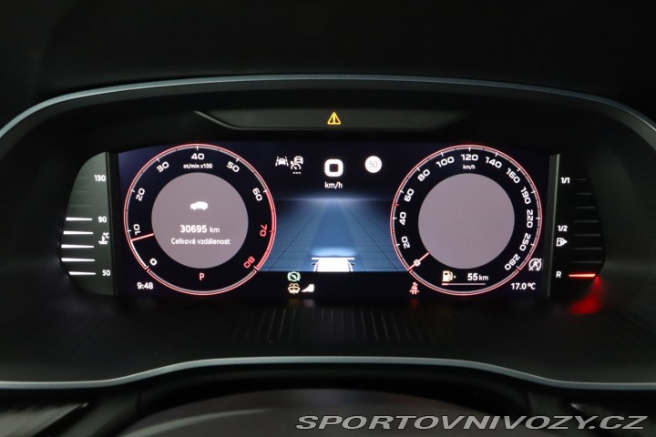 Škoda Octavia RS RS RS 2.0 TSI 2025