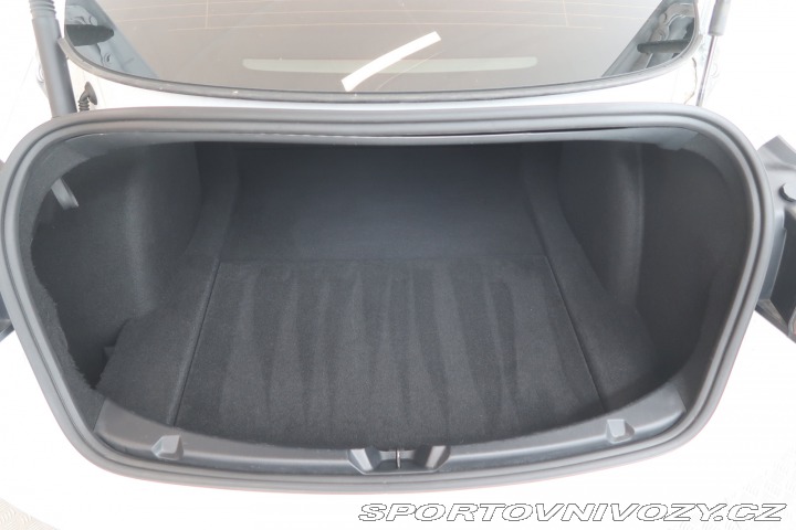 Tesla Model 3 Performance 78kWh 2021
