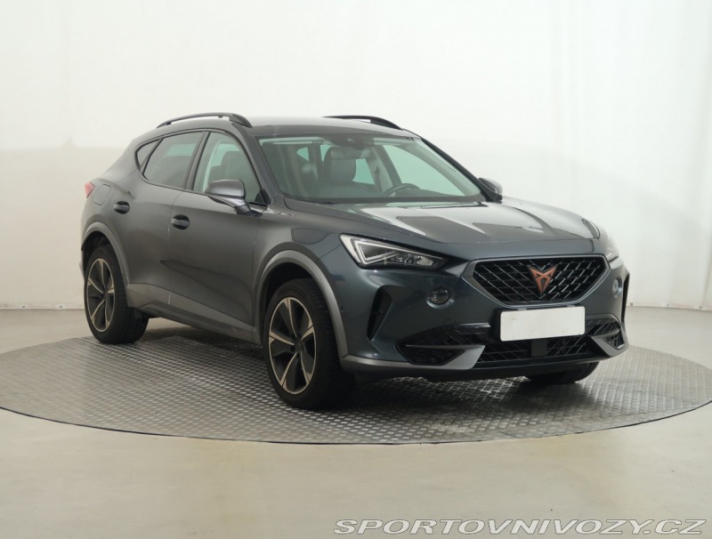 Cupra Formentor 2.0 TSI 4Drive