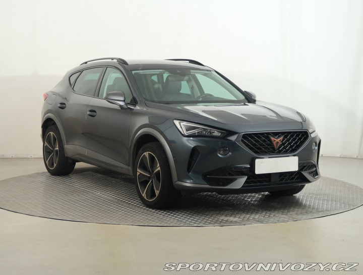 Cupra Formentor 2.0 TSI 4Drive 2022