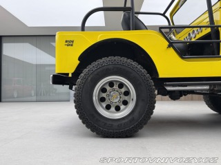 Ostatní značky Ostatní modely Jeep CJ CJ5 FULLY REBUILD 1966