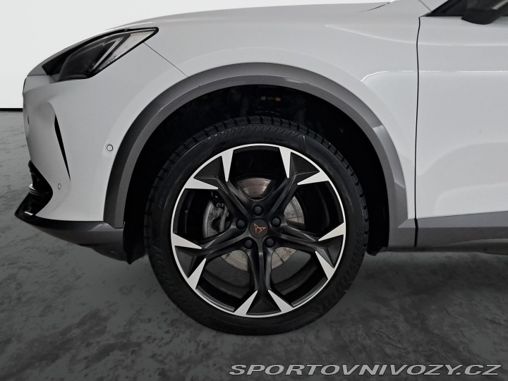Cupra Formentor 2.0 TSI 4Drive 2024