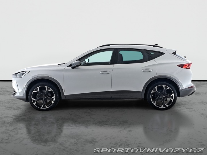 Cupra Formentor 2.0 TSI 4Drive 2024