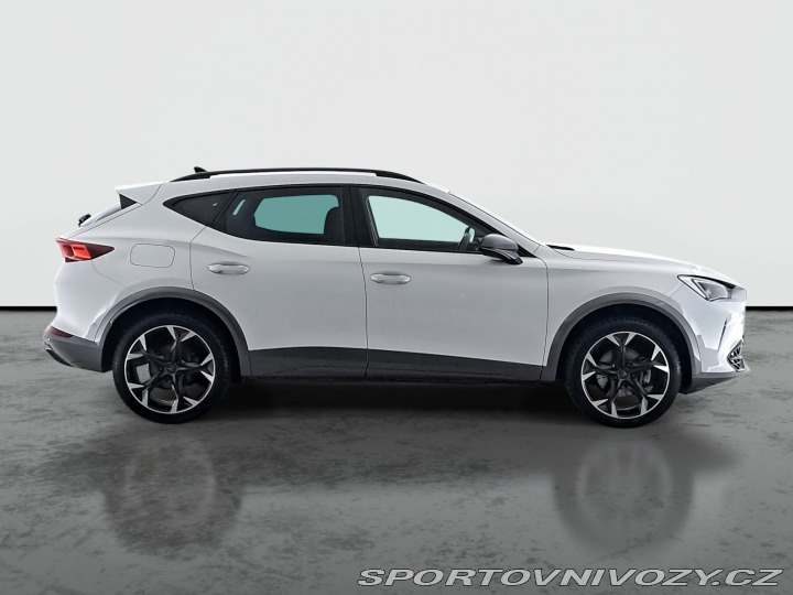 Cupra Formentor 2.0 TSI 4Drive 2024