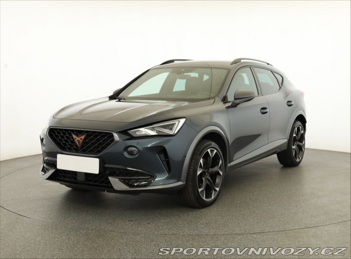 Cupra Formentor 2.0 TSI 4Drive 2022