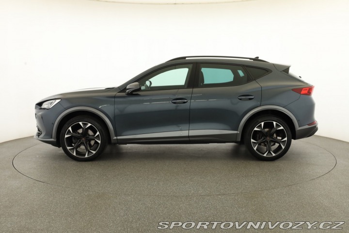 Cupra Formentor 2.0 TSI 4Drive 2022
