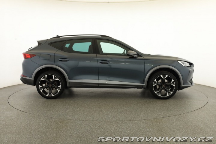 Cupra Formentor 2.0 TSI 4Drive 2022