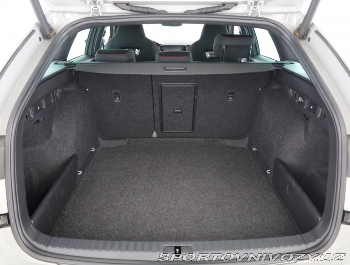 Škoda Octavia RS RS RS 2.0 TDI 4x4 2021