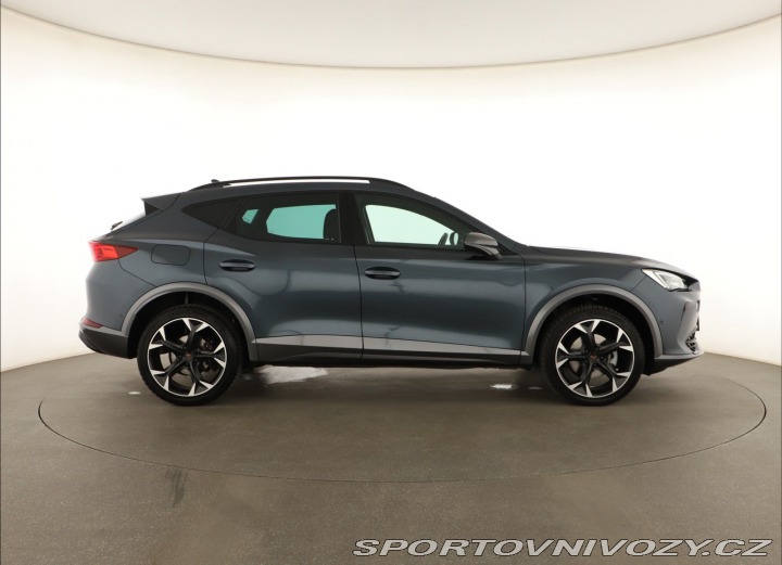 Cupra Formentor 2.0 TSI 4Drive 2024