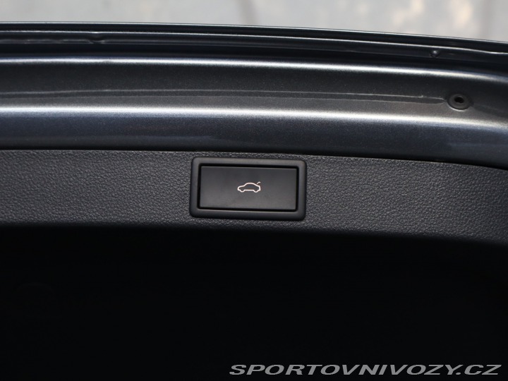 Škoda Octavia RS RS RS 2.0 TDI 4x4 2024