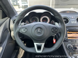 Mercedes-Benz SL 65 AMG Black Series / 1OF 2010