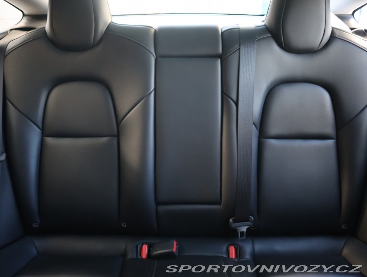 Tesla Model 3 Std Range Plus 52kWh 2019