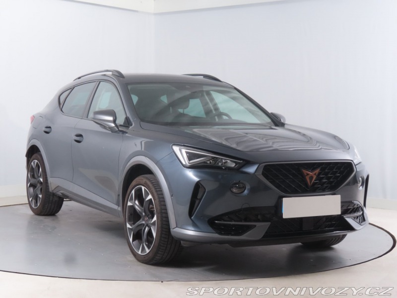 Cupra Formentor 2.0 TSI 4Drive