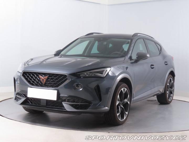 Cupra Formentor 2.0 TSI 4Drive 2022