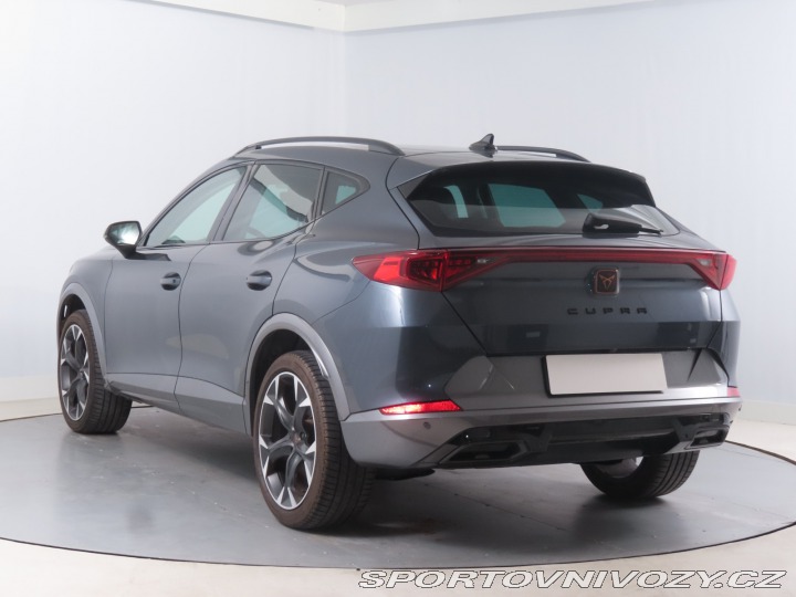 Cupra Formentor 2.0 TSI 4Drive 2022