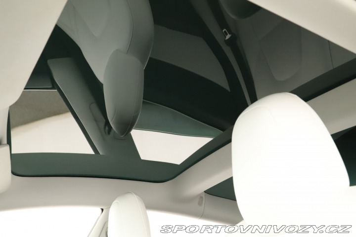 Tesla Model 3 Performance 78kWh 2020