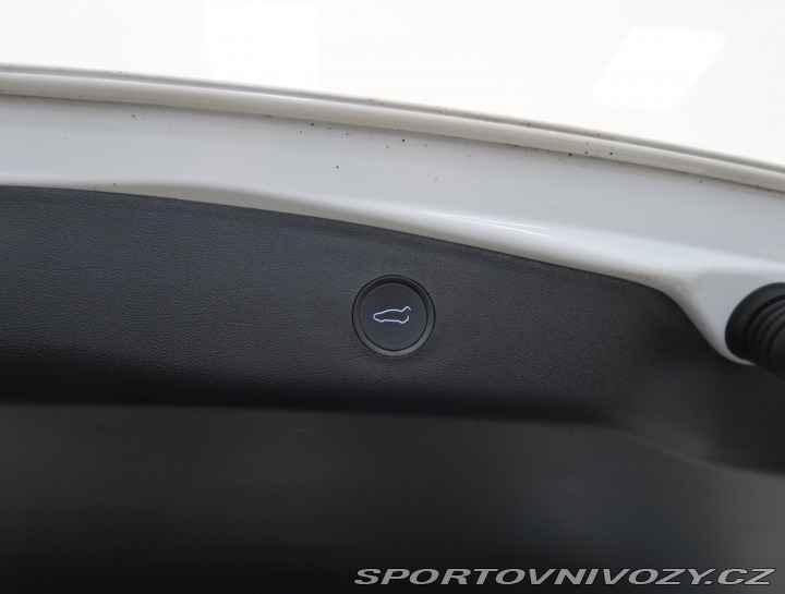 Tesla Model 3 Std Range Plus LFP 2021
