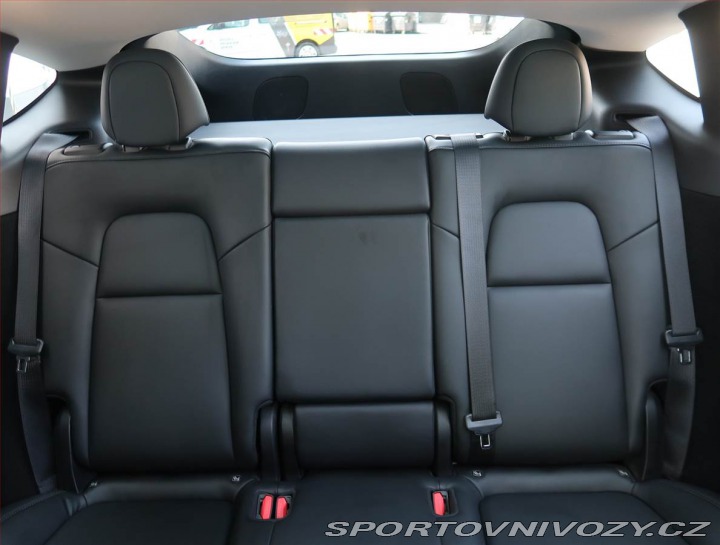 Tesla Model Y Performance 79kWh 2022