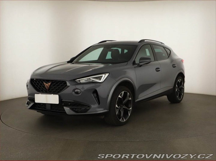 Cupra Formentor Business 2.0 TSI 4Drive 2024