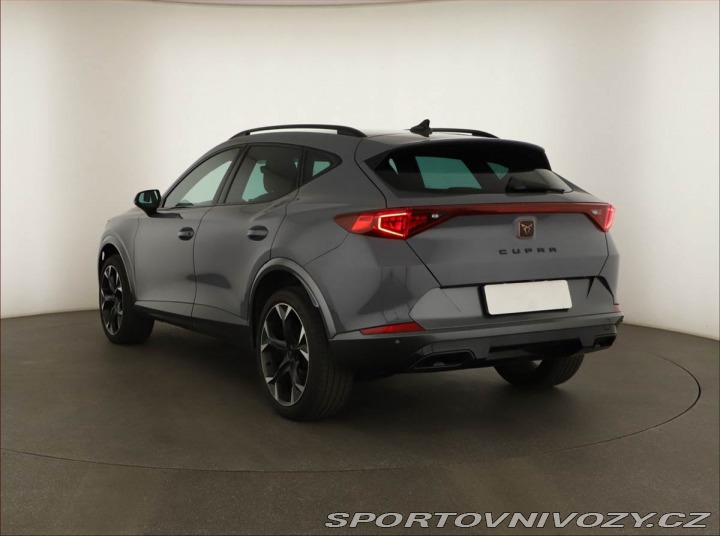 Cupra Formentor Business 2.0 TSI 4Drive 2024