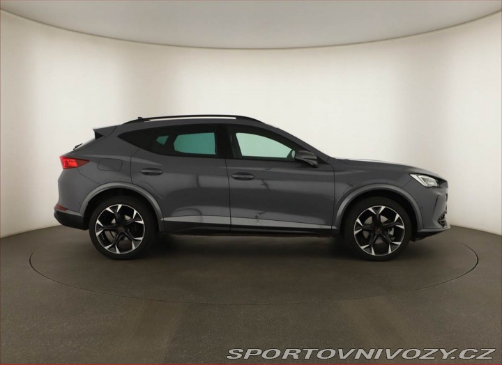 Cupra Formentor Business 2.0 TSI 4Drive 2024