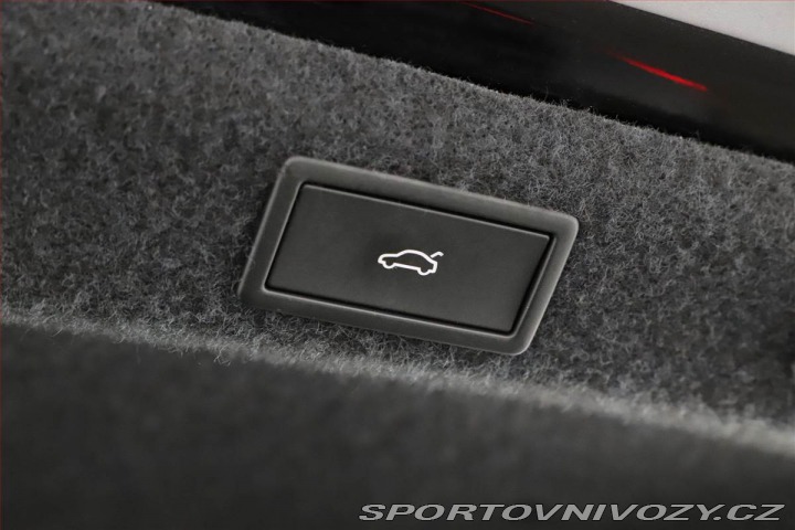 Škoda Octavia RS RS 2.0 TSI, RS - 195KW, D 2024