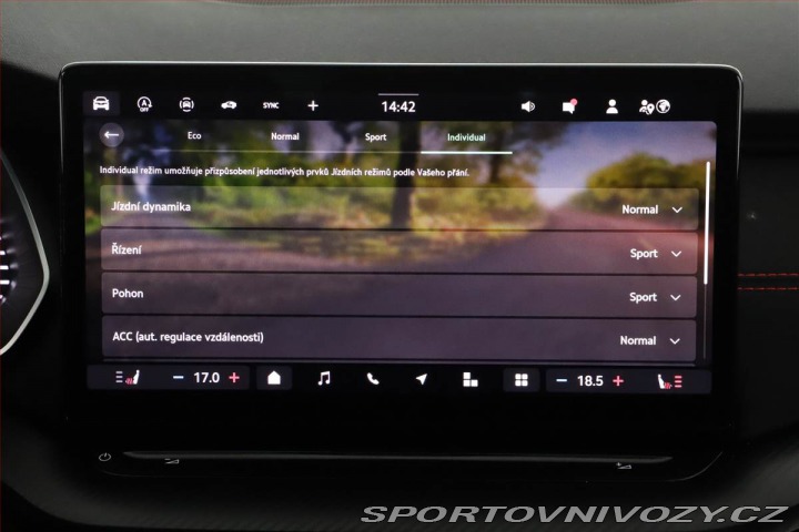 Škoda Octavia RS RS 2.0 TSI, Matrix, Canto 2025