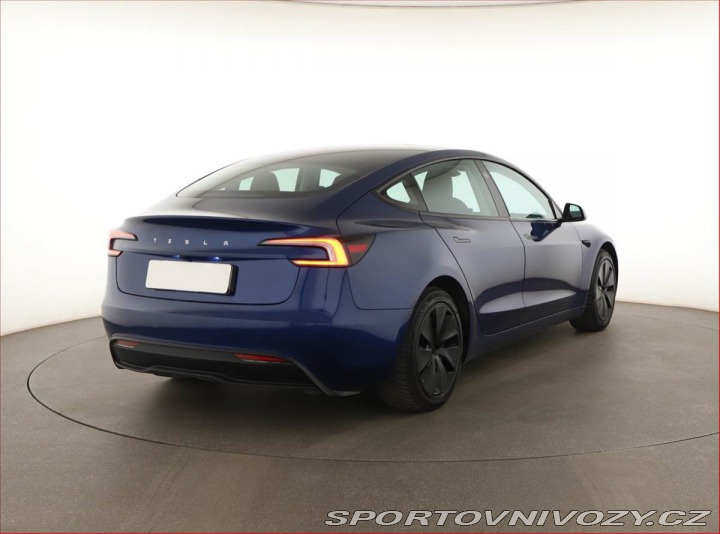 Tesla Model 3 Standard Range LFP, SoH 9 2023
