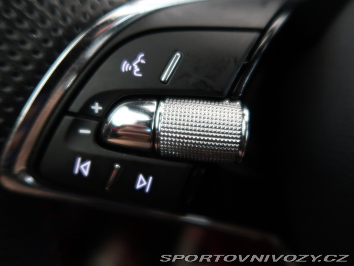 Škoda Octavia RS RS RS 2.0 TDI 2021