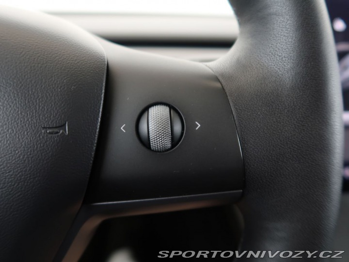 Tesla Model 3 Long Range,AWD,Dual Motor 2021