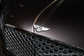 Bentley Continental GT Damson/Naim/Pano/360 2023