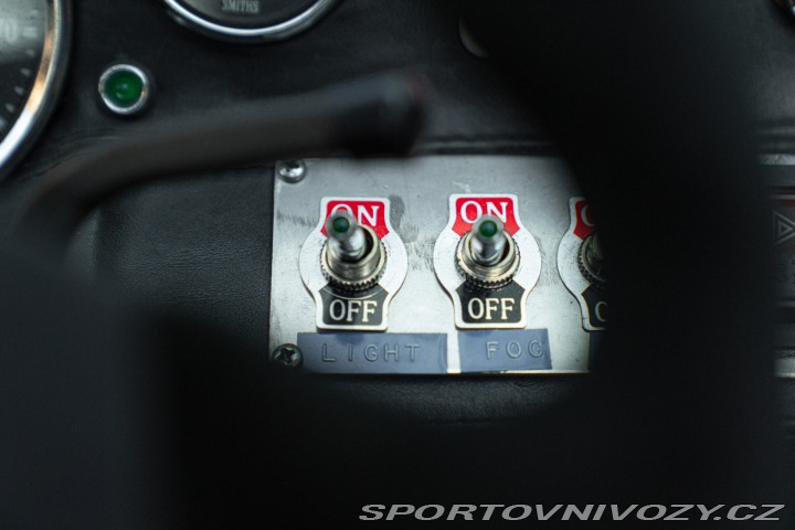 Ford GT 40 REPLICA 1989