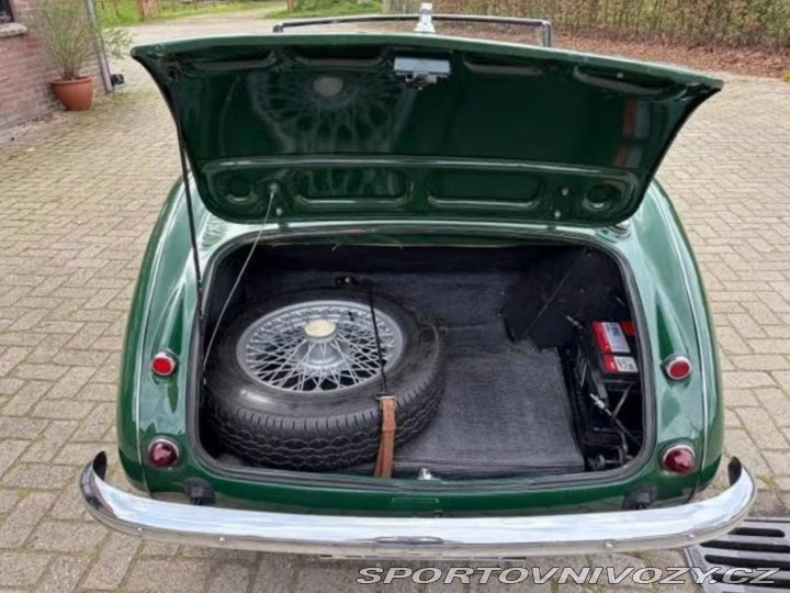 Ostatní značky Ostatní modely Austin Healey BN4 1959