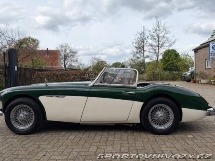 Ostatní značky Ostatní modely Austin Healey BN4 1959
