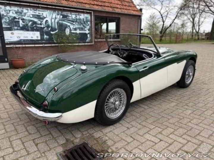 Ostatní značky Ostatní modely Austin Healey BN4 1959
