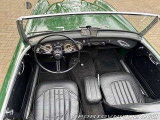 Ostatní značky Ostatní modely Austin Healey BN4 1959