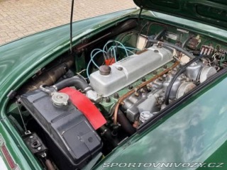 Ostatní značky Ostatní modely Austin Healey BN4 1959