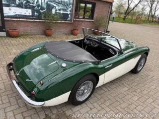 Ostatní značky Ostatní modely Austin Healey BN4 1959