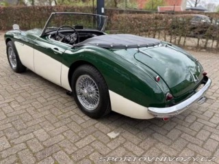 Ostatní značky Ostatní modely Austin Healey BN4 1959