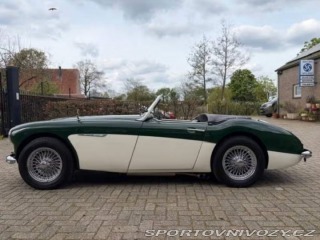 Ostatní značky Ostatní modely Austin Healey BN4 1959