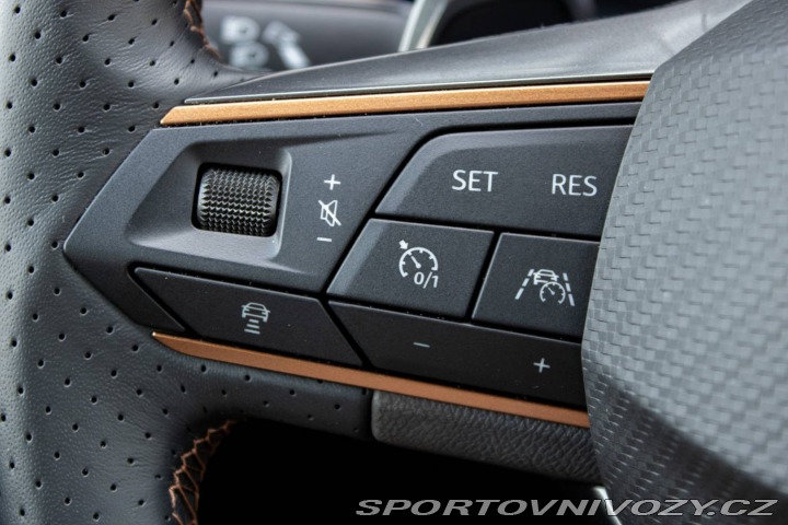 Cupra Leon Sportstourer 2.0 TDI 4Dr 2024