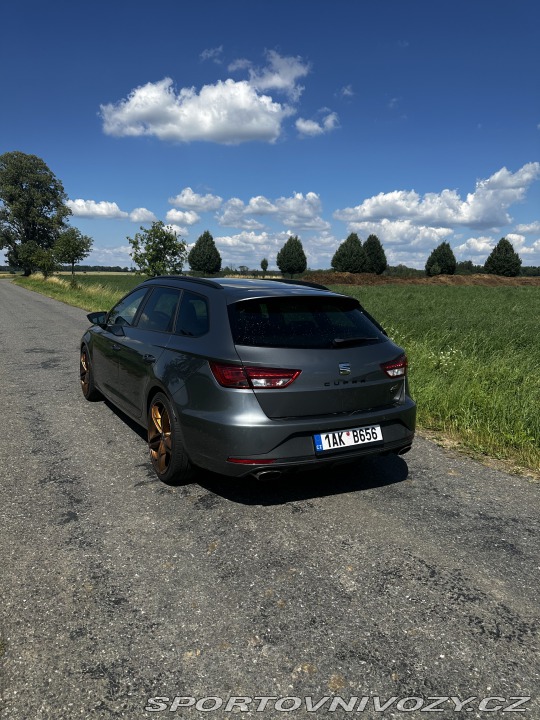 Seat Leon Cupra 290 2016