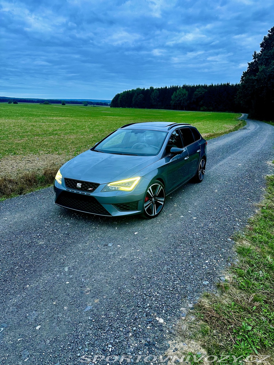 Seat Leon Cupra 290