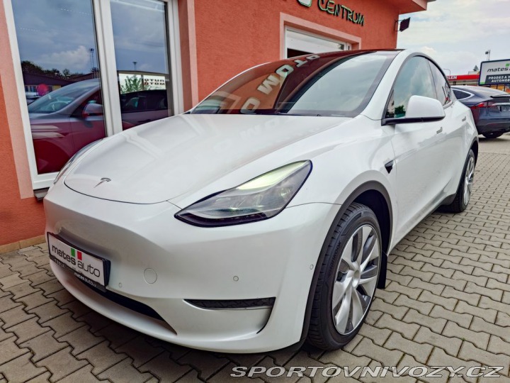 Tesla Model Y Long Range Dual Motor 378 2022