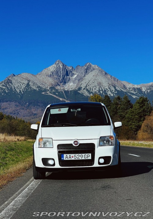 Fiat Ostatní modely Panda 100HP 2009
