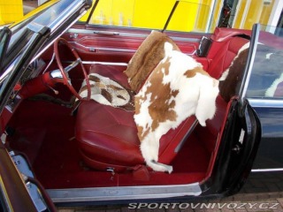 Ostatní značky Ostatní modely CADILLAC DeVille Convertible 1965