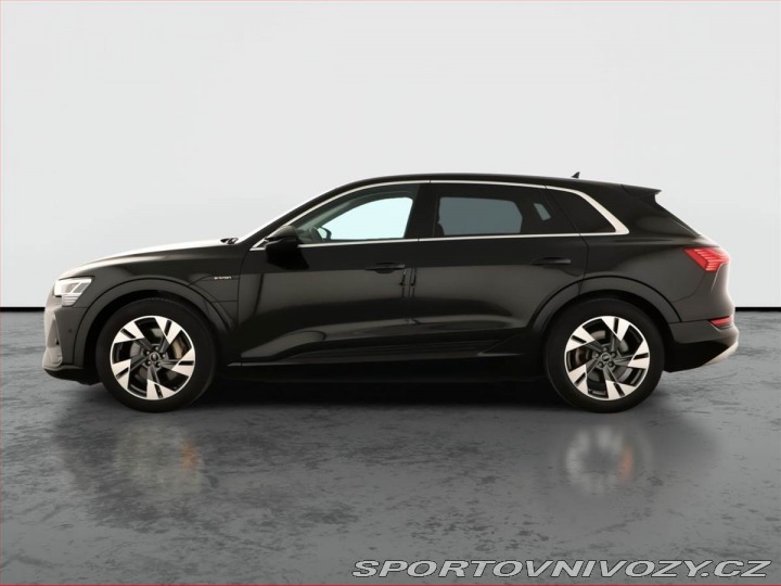 Audi Ostatní modely e-tron 50 quattro 2021